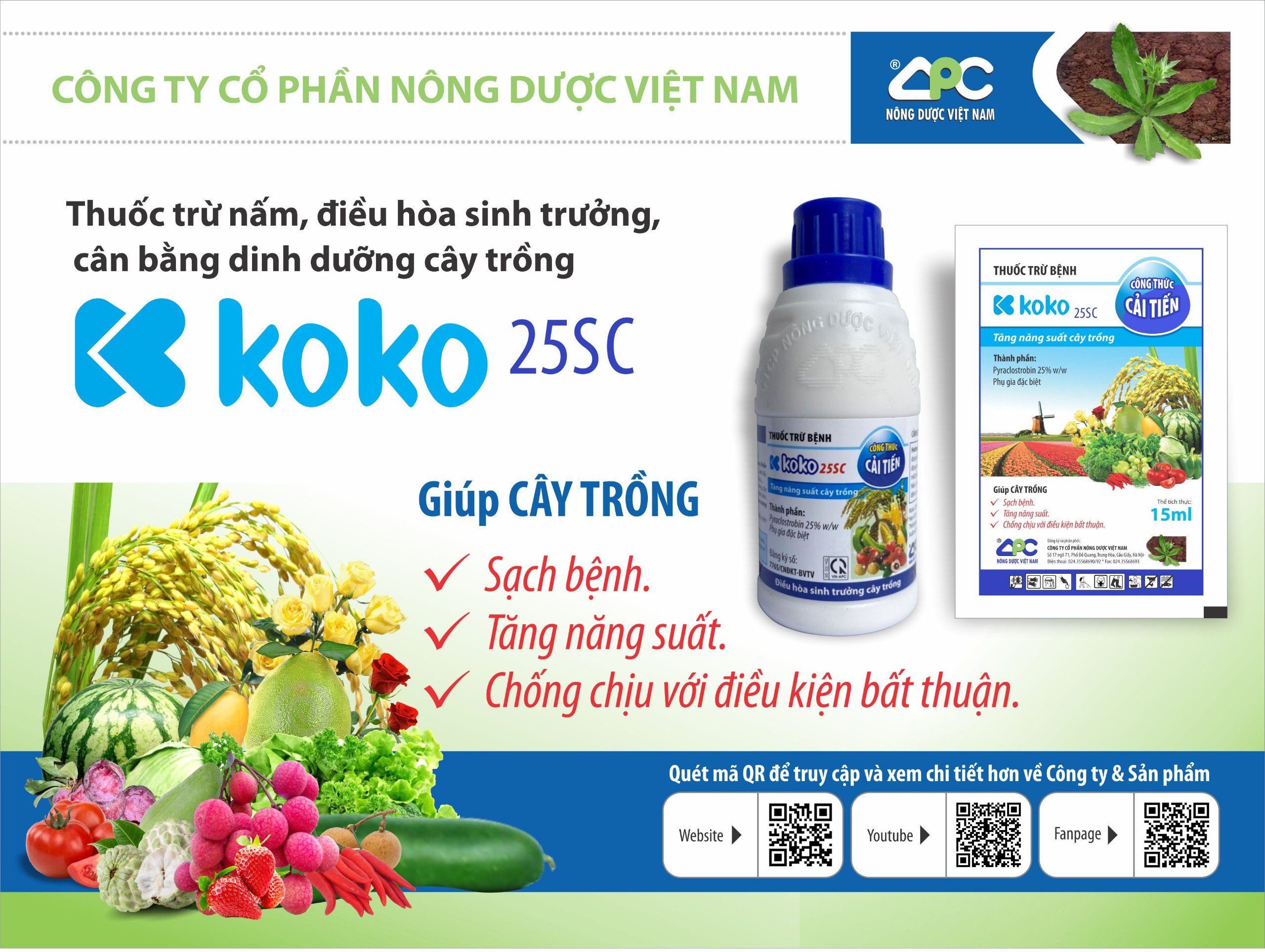 Koko 25SC