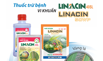 HÀNG VIỆT UY TÍN CHẤT LƯỢNG TỐT VỚI LINACIN 40SL VÀ VINARIUS 500WP
