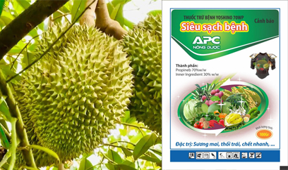 YOSHINO 70WP - SIÊU SẠCH BỆNH CÂY SẦU RIÊNG