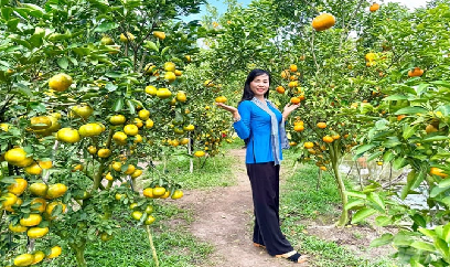 10 điểm tham quan quýt hồng Lai Vung mở cửa đón khách