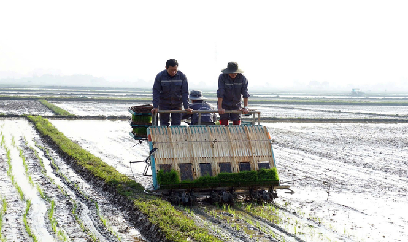 1.000 ha đất lúa ngập sâu, Quảng Trị 'chạy đua' tiêu úng