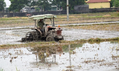 Nghệ An: Diện tích bỏ hoang vụ hè thu gia tăng