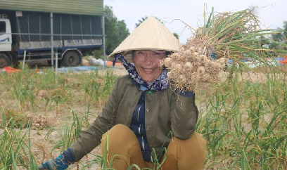 Vụ tỏi niềm vui chưa trọn vẹn