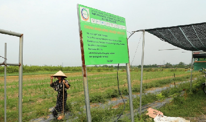 Hợp tác xã người khuyết tật sống ổn nhờ cây dược liệu hữu cơ