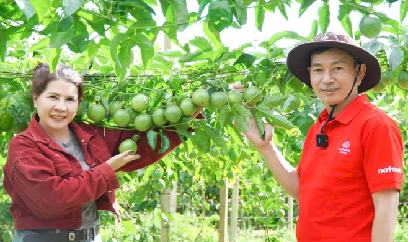 Phát triển vùng nguyên liệu bền vững các nông sản chủ lực