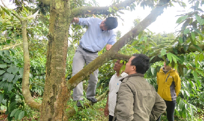 Trọng trách mới của ngành bảo vệ thực vật