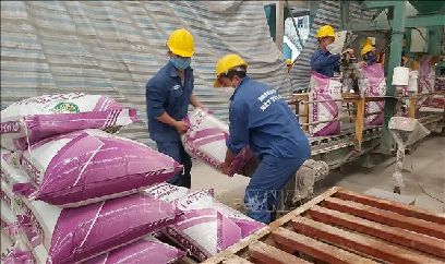 Giá phân bón trong nước có biến động theo thế giới?