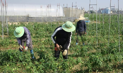Vụ đông trị giá 8.000 tỷ đồng của Hải Phòng