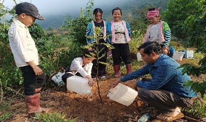 Giấc mơ xanh trên đất dốc