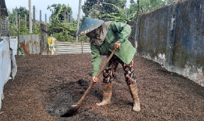 Không nên nhìn nhận cực đoan trong sử dụng phân bón