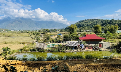 Khấm khá nhờ giống lúa nếp ngon nhất Lai Châu