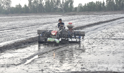 An Giang xây dựng khung lịch thời vụ sản xuất các vụ lúa trong năm