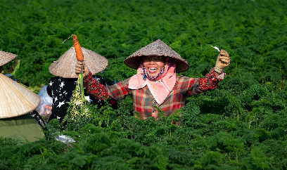 Tri thức nảy mầm trong gian khó, khơi nguồn cho 'cách mạng xanh'