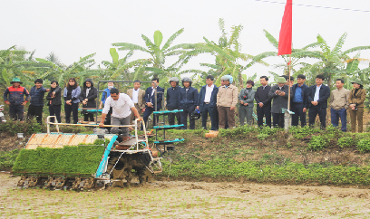 'Khoác áo mới' cho sản xuất lúa Ninh Bình