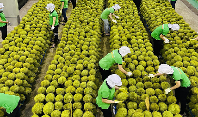 Trung Quốc tăng nhập nông thủy sản Việt, nông nghiệp thu hơn 38 tỉ USD xuất khẩu