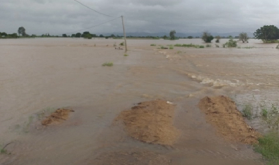 Hàng ngàn ha hoa màu bị ngập úng do mưa lớn kéo dài