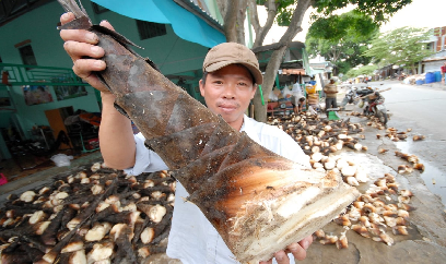 Măng tre núi Cấm - Sản vật hút hàng