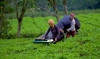 'Thay da đổi thịt' nhờ khoa học công nghệ