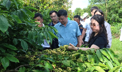 Nông nghiệp Nam Trung Bộ và Tây Nguyên vững đà tăng trưởng trong khó khăn