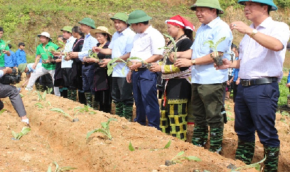 Sa Pa nhắm mục tiêu vùng cây dược liệu lớn