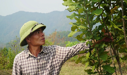 Những hứa hẹn ở Quỳnh Nhai