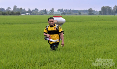 Nông dân cần thường xuyên thăm đồng dịp Tết