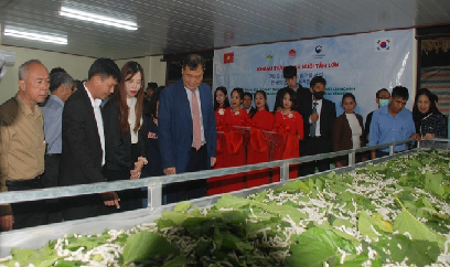 Hàn Quốc hỗ trợ nhiều tiến bộ kỹ thuật mới cho nghề dâu tằm