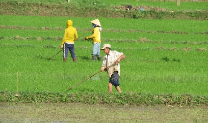 Những thiết bị cơ giới đơn sơ mà rất hiệu quả