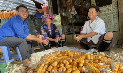 Tà Mung vàng ruộm mùa ngô