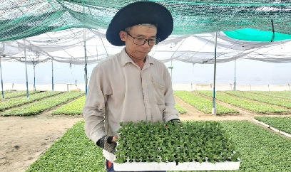 Nông dân Tiền Giang rục rịch xuống giống vụ hoa Tết