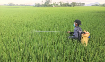 Vui xuân không quên ruộng đồng