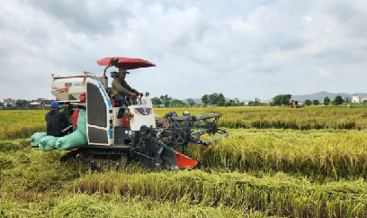Quảng Ninh đặt mục tiêu giá trị sản xuất trồng trọt đạt 150 triệu đồng/ha/năm