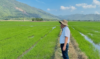 Khánh Hòa tập trung nguồn lực, quyết tâm giành thắng lợi vụ đông xuân