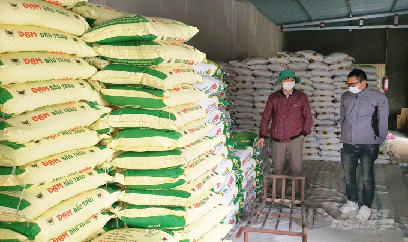 Nông dân xoay xở trước cơn bão giá phân bón