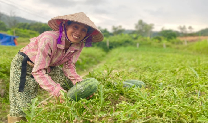 Ngọt lành dưa hấu Cô Tô